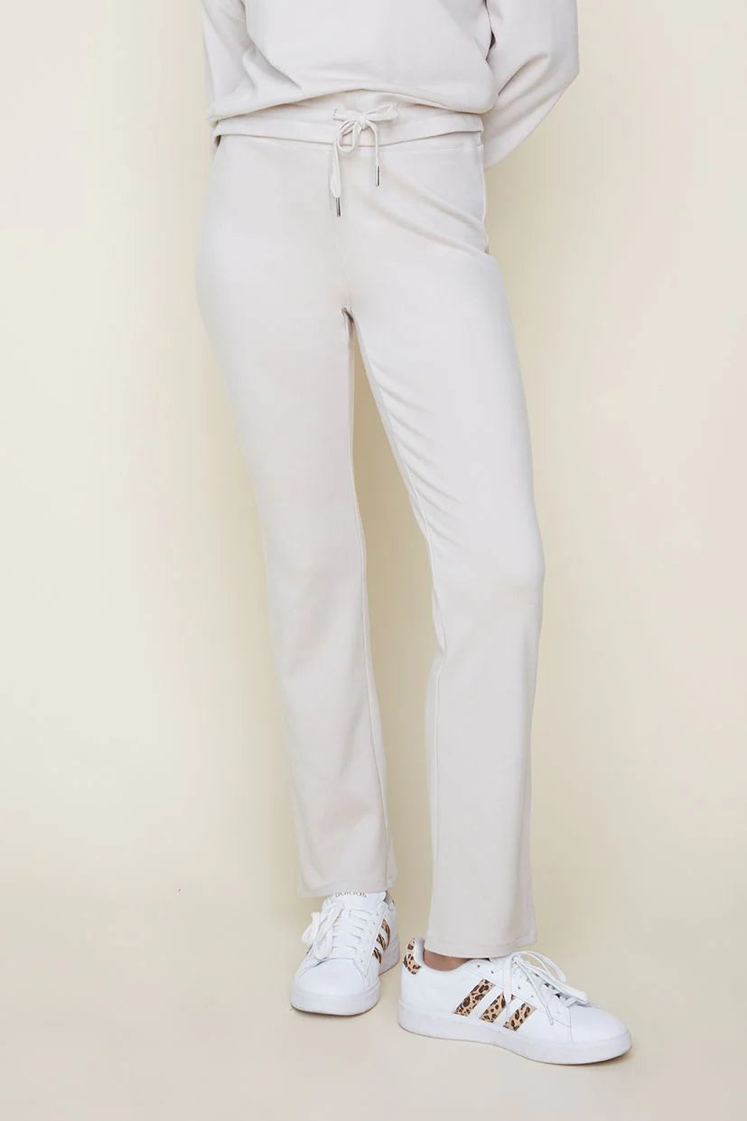 Casual Corner Pant